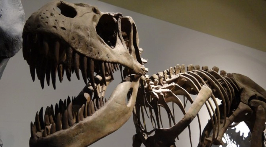 Horarios gratuitos de museos en Madrid
