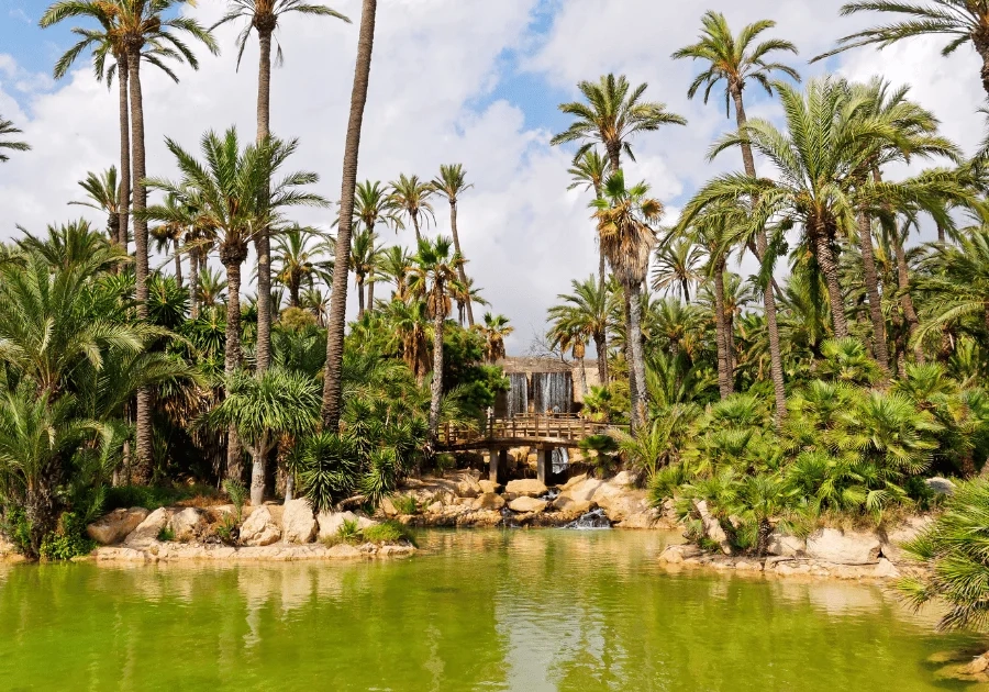 Una propuesta para los que buscan planes diferentes en Alicante, un paseo en barca por el precioso parque de El Palmeral