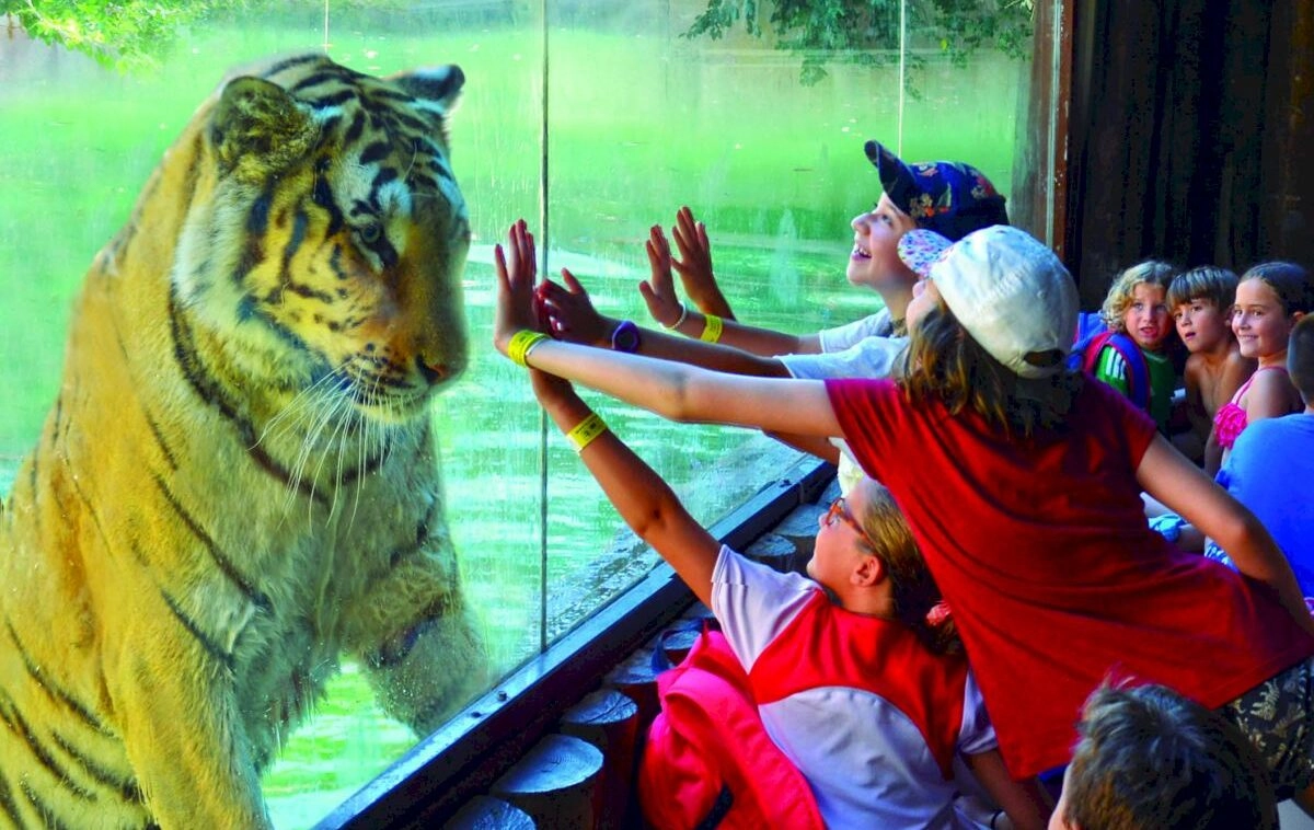 Plan con niños y animales en Alicante