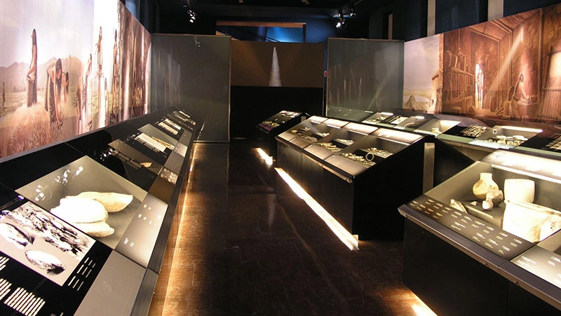 Planes culturales en Alicante: adéntrate en la prehistoria con el Museo Arqueológico de Alicante