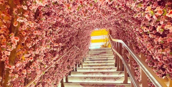 Planes de restaurante San Valentín Madrid