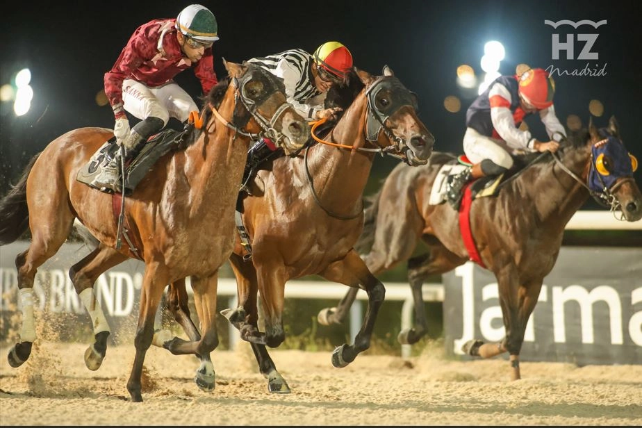 Hipódromo - Actividades con niños en Madrid.