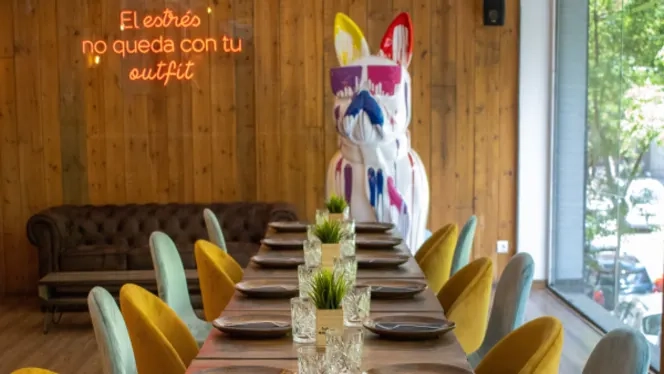 Restaurantes Pet Friendly Madrid 