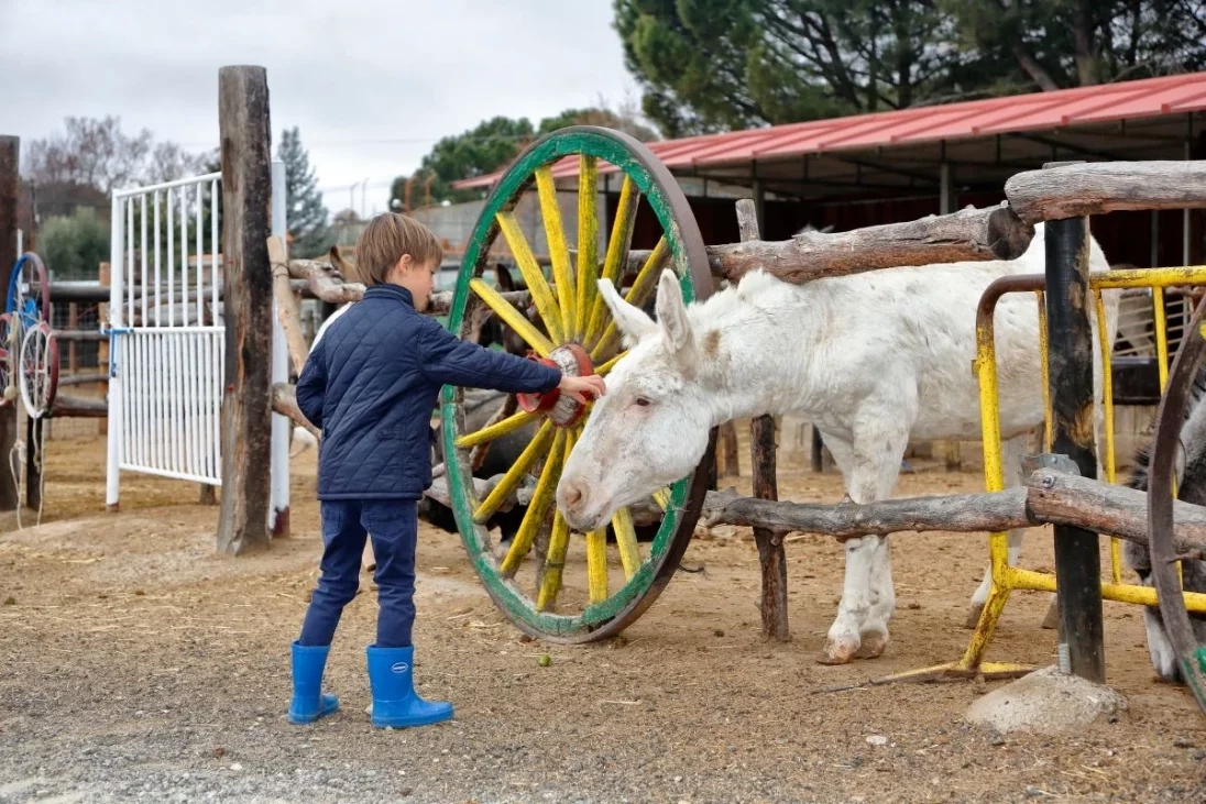 Burrolandia - Tres Cantos - Actividades para niños en septiembre