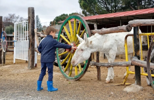 Burrolandia. Actividad para niños en Septiembre